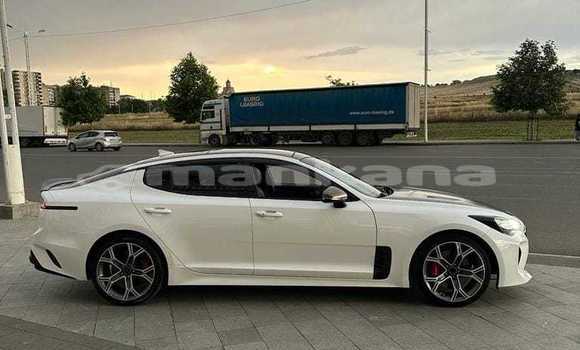Buy Used Kia Stinger White Car in Tbilisi in Tbilisi Buy Used Kia Stinger White Car in Tbilisi in Tbilisi