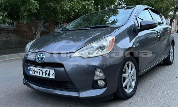 Buy Used Toyota Prius Other Car in Tbilisi in Tbilisi Buy Used Toyota Prius Other Car in Tbilisi in Tbilisi