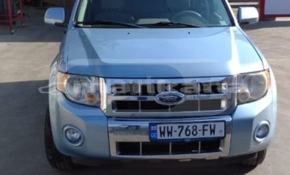 Buy Used Ford Escape Blue Car in Tbilisi in Tbilisi Buy Used Ford Escape Blue Car in Tbilisi in Tbilisi