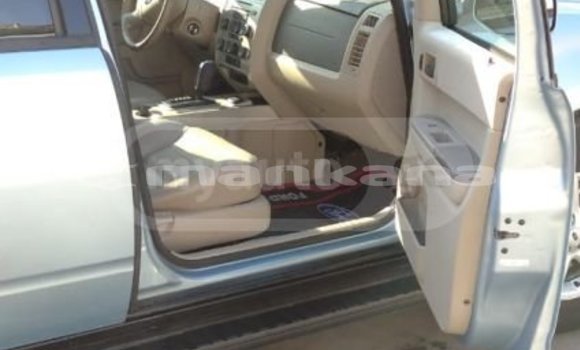 Buy Used Ford Escape Blue Car in Tbilisi in Tbilisi Buy Used Ford Escape Blue Car in Tbilisi in Tbilisi