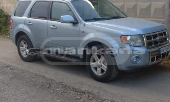 Buy Used Ford Escape Blue Car in Tbilisi in Tbilisi Buy Used Ford Escape Blue Car in Tbilisi in Tbilisi