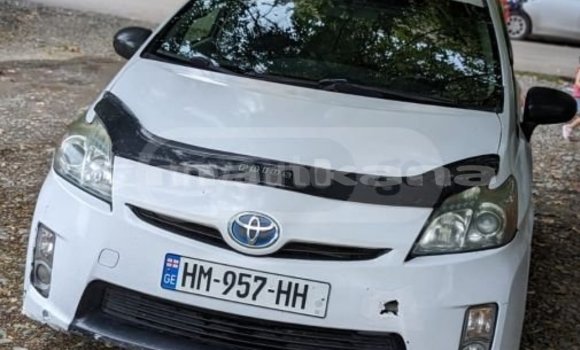 Buy Used Toyota Prius White Car in Tbilisi in Tbilisi Buy Used Toyota Prius White Car in Tbilisi in Tbilisi