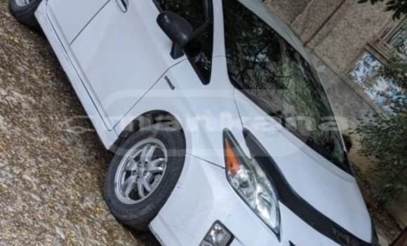 Buy Used Toyota Prius White Car in Tbilisi in Tbilisi Buy Used Toyota Prius White Car in Tbilisi in Tbilisi