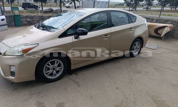 Buy Used Toyota Prius Other Car in Tbilisi in Tbilisi Buy Used Toyota Prius Other Car in Tbilisi in Tbilisi