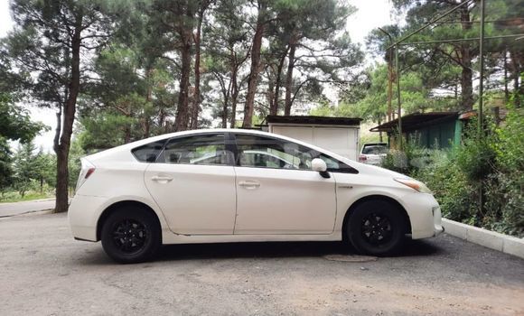 Buy Used Toyota Prius White Car in Tbilisi in Tbilisi Buy Used Toyota Prius White Car in Tbilisi in Tbilisi