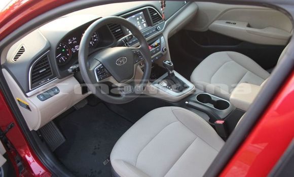 Buy Used Hyundai Elantra Red Car in Tbilisi in Tbilisi Buy Used Hyundai Elantra Red Car in Tbilisi in Tbilisi