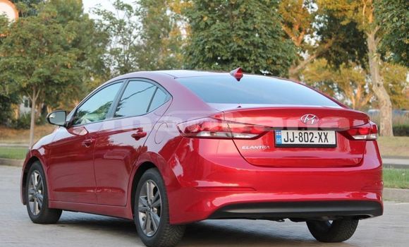 Buy Used Hyundai Elantra Red Car in Tbilisi in Tbilisi Buy Used Hyundai Elantra Red Car in Tbilisi in Tbilisi