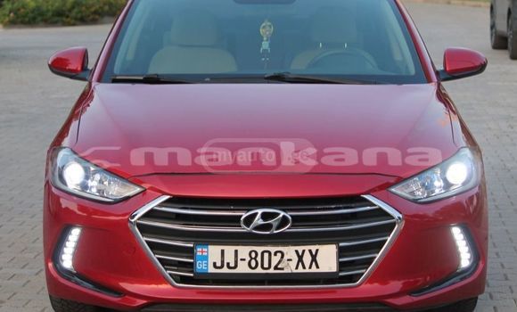 Buy Used Hyundai Elantra Red Car in Tbilisi in Tbilisi Buy Used Hyundai Elantra Red Car in Tbilisi in Tbilisi