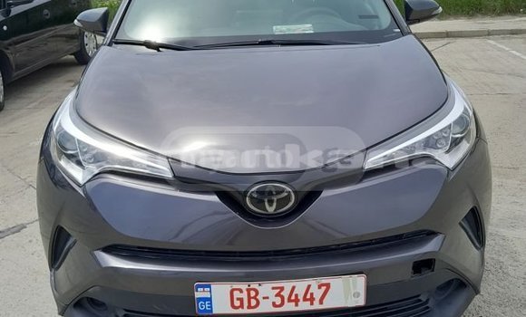 Buy Used Toyota C-HR Other Car in Tbilisi in Tbilisi