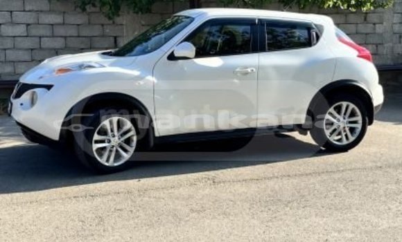 Buy Used Nissan Juke White Car in Tbilisi in Tbilisi Buy Used Nissan Juke White Car in Tbilisi in Tbilisi