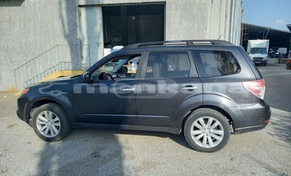Buy Used Subaru Forester Black Car in Tbilisi in Tbilisi