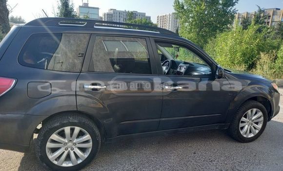 Buy Used Subaru Forester Black Car in Tbilisi in Tbilisi Buy Used Subaru Forester Black Car in Tbilisi in Tbilisi