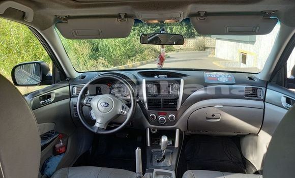 Buy Used Subaru Forester Black Car in Tbilisi in Tbilisi Buy Used Subaru Forester Black Car in Tbilisi in Tbilisi