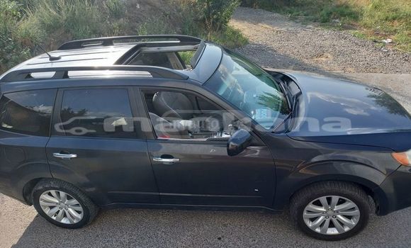 Buy Used Subaru Forester Black Car in Tbilisi in Tbilisi Buy Used Subaru Forester Black Car in Tbilisi in Tbilisi
