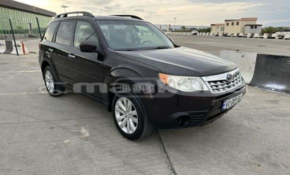 Buy Used Subaru Forester Black Car in Tbilisi in Tbilisi