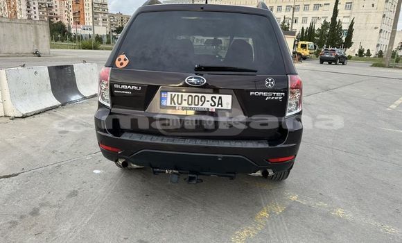 Buy Used Subaru Forester Black Car in Tbilisi in Tbilisi Buy Used Subaru Forester Black Car in Tbilisi in Tbilisi