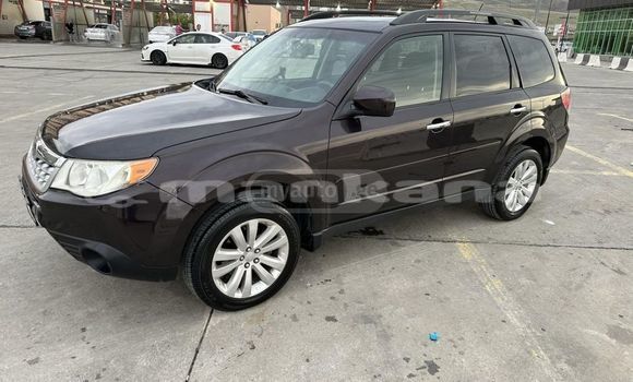 Buy Used Subaru Forester Black Car in Tbilisi in Tbilisi Buy Used Subaru Forester Black Car in Tbilisi in Tbilisi