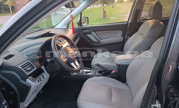 Buy Used Subaru Forester Black Car in Tbilisi in Tbilisi Buy Used Subaru Forester Black Car in Tbilisi in Tbilisi