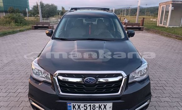 Buy Used Subaru Forester Black Car in Tbilisi in Tbilisi Buy Used Subaru Forester Black Car in Tbilisi in Tbilisi