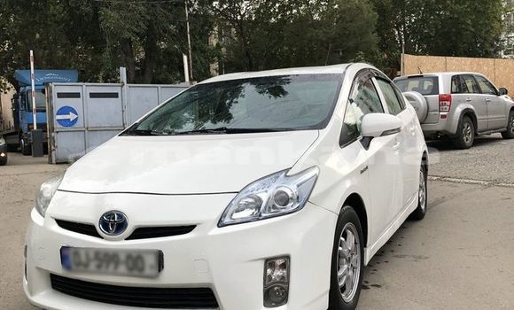 Buy Used Toyota Prius White Car in Tbilisi in Tbilisi Buy Used Toyota Prius White Car in Tbilisi in Tbilisi