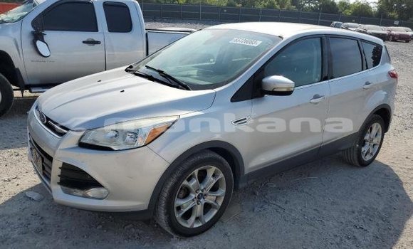 Buy Used Ford Escape Other Car in Tbilisi in Tbilisi