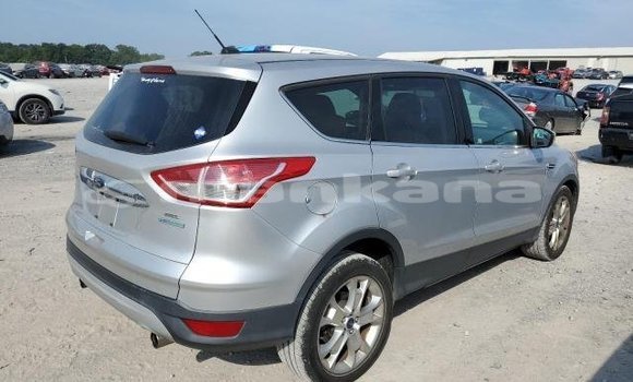 Buy Used Ford Escape Other Car in Tbilisi in Tbilisi Buy Used Ford Escape Other Car in Tbilisi in Tbilisi