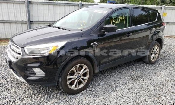Buy Used Ford Escape Black Car in Tbilisi in Tbilisi Buy Used Ford Escape Black Car in Tbilisi in Tbilisi