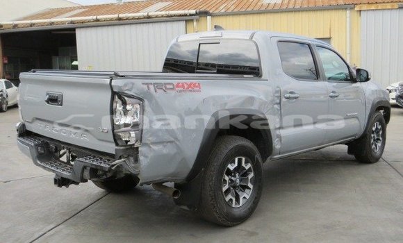 Buy Used Toyota Tacoma Other Car in Tbilisi in Tbilisi Buy Used Toyota Tacoma Other Car in Tbilisi in Tbilisi