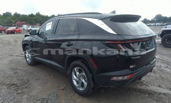 Buy Used Hyundai Tucson Black Car in Tbilisi in Tbilisi Buy Used Hyundai Tucson Black Car in Tbilisi in Tbilisi