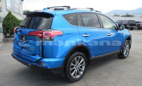 Buy Used Toyota RAV4 Blue Car in Tbilisi in Tbilisi Buy Used Toyota RAV4 Blue Car in Tbilisi in Tbilisi