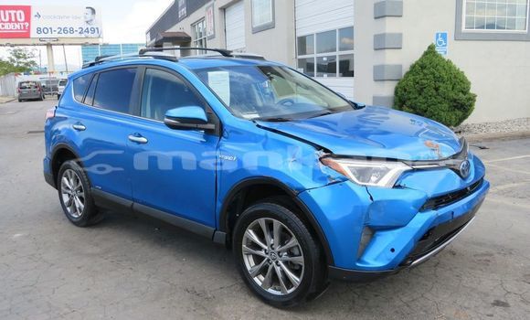 Buy Used Toyota RAV4 Blue Car in Tbilisi in Tbilisi Buy Used Toyota RAV4 Blue Car in Tbilisi in Tbilisi