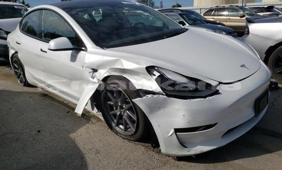 Buy Used Tesla Model 3 White Car in Tbilisi in Tbilisi Buy Used Tesla Model 3 White Car in Tbilisi in Tbilisi