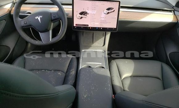 Buy Used Tesla Model 3 White Car in Tbilisi in Tbilisi Buy Used Tesla Model 3 White Car in Tbilisi in Tbilisi