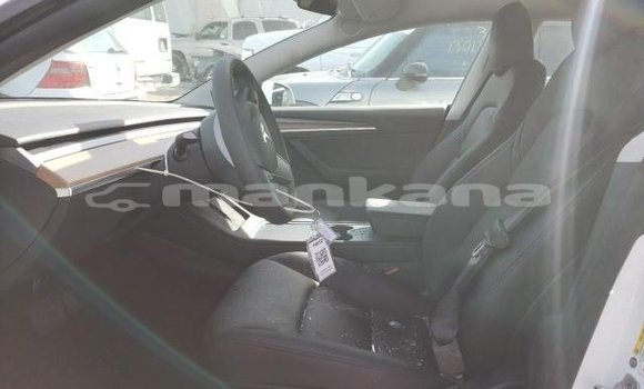 Buy Used Tesla Model 3 White Car in Tbilisi in Tbilisi Buy Used Tesla Model 3 White Car in Tbilisi in Tbilisi