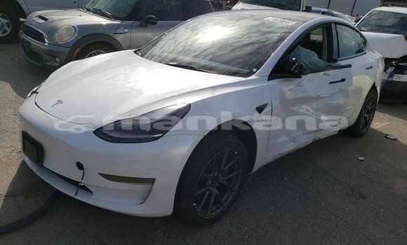 Buy Used Tesla Model 3 White Car in Tbilisi in Tbilisi Buy Used Tesla Model 3 White Car in Tbilisi in Tbilisi