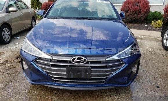 Buy Used Hyundai Elantra Blue Car in Tbilisi in Tbilisi Buy Used Hyundai Elantra Blue Car in Tbilisi in Tbilisi