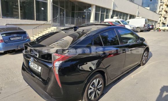 Buy Used Toyota Prius Black Car in Tbilisi in Tbilisi Buy Used Toyota Prius Black Car in Tbilisi in Tbilisi