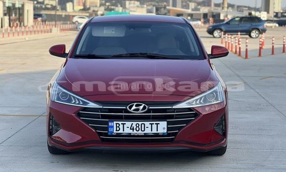 Buy Used Hyundai Elantra Red Car in Tbilisi in Tbilisi Buy Used Hyundai Elantra Red Car in Tbilisi in Tbilisi