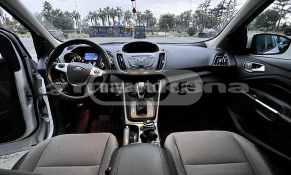 Buy Used Ford Escape White Car in Tbilisi in Tbilisi Buy Used Ford Escape White Car in Tbilisi in Tbilisi