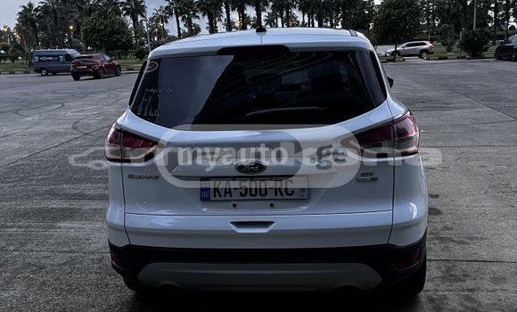 Buy Used Ford Escape White Car in Tbilisi in Tbilisi Buy Used Ford Escape White Car in Tbilisi in Tbilisi