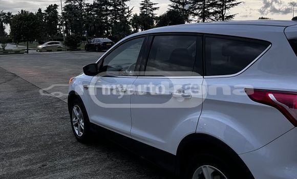 Buy Used Ford Escape White Car in Tbilisi in Tbilisi Buy Used Ford Escape White Car in Tbilisi in Tbilisi