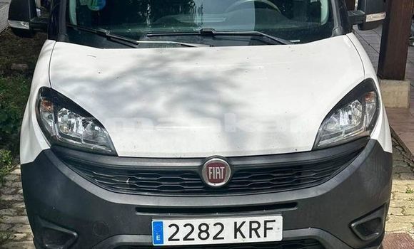Buy Used Fiat Doblo White Car in Bagdadi in Imereti