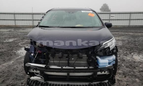 Buy Used Toyota Sienna Black Car in Tbilisi in Tbilisi