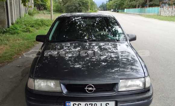 Buy Used Opel Vectra Black Car in Tbilisi in Tbilisi