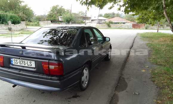 Buy Used Opel Vectra Black Car in Tbilisi in Tbilisi Buy Used Opel Vectra Black Car in Tbilisi in Tbilisi