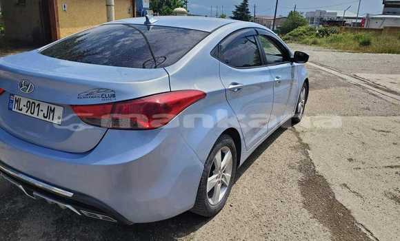 Buy Used Hyundai Elantra Other Car in Tbilisi in Tbilisi Buy Used Hyundai Elantra Other Car in Tbilisi in Tbilisi
