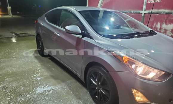 Buy Used Hyundai Elantra Other Car in Tbilisi in Tbilisi Buy Used Hyundai Elantra Other Car in Tbilisi in Tbilisi