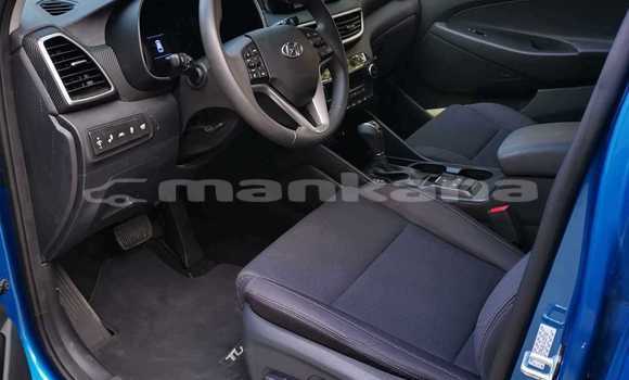 Buy Used Hyundai Tucson Blue Car in Tbilisi in Tbilisi Buy Used Hyundai Tucson Blue Car in Tbilisi in Tbilisi