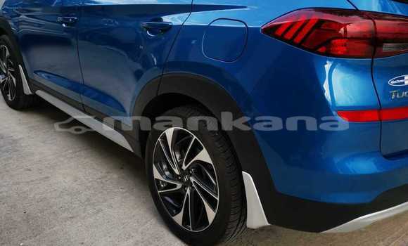 Buy Used Hyundai Tucson Blue Car in Tbilisi in Tbilisi Buy Used Hyundai Tucson Blue Car in Tbilisi in Tbilisi