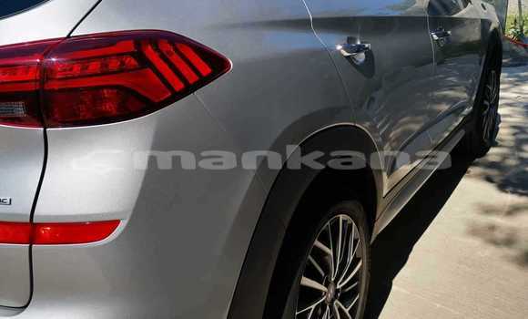 Buy Used Hyundai Tucson Other Car in Tbilisi in Tbilisi Buy Used Hyundai Tucson Other Car in Tbilisi in Tbilisi